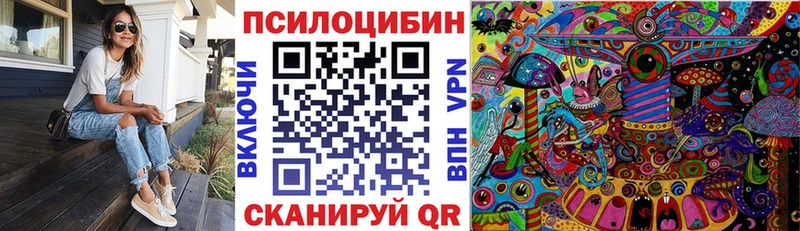 Купить закладки  Еманжелинск  Псилоцибиновые грибы Psilocybine cubensis 